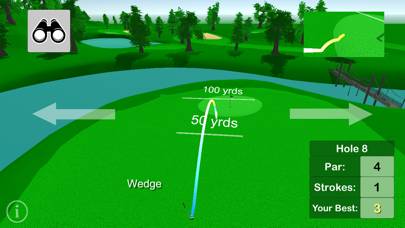 Pro Golf Challenge schermata del gioco