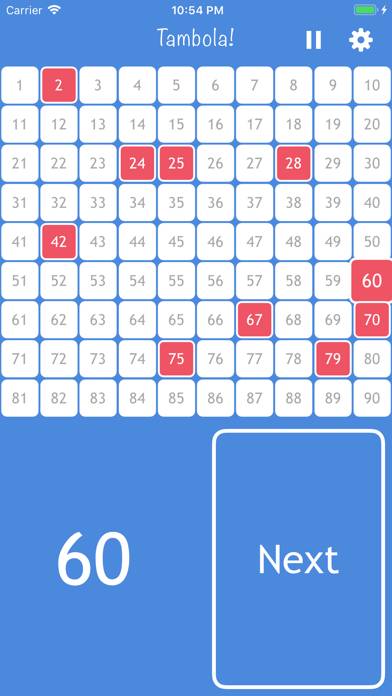Bingo-Tambola Pro App screenshot #1