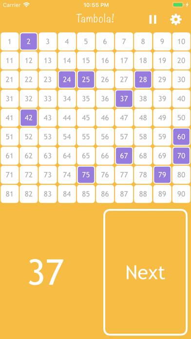 Bingo-Tambola Pro App screenshot #2