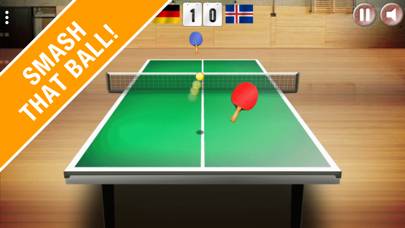 Table Tennis World Tour screenshot