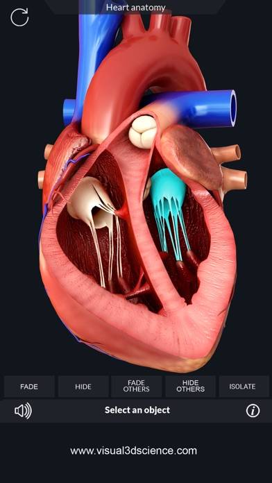My Heart Anatomy App screenshot #2