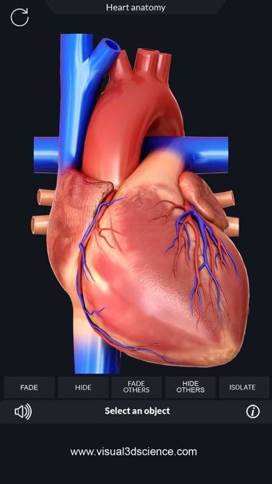 My Heart Anatomy App screenshot #3
