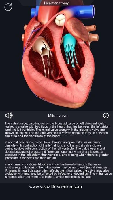 My Heart Anatomy App screenshot #4