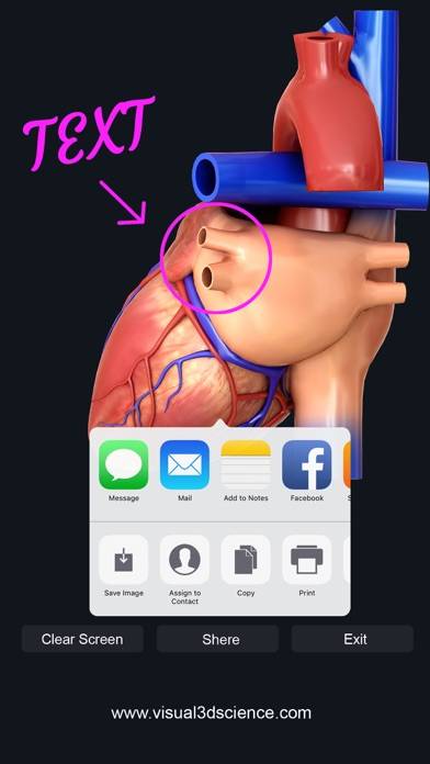 My Heart Anatomy App screenshot #5