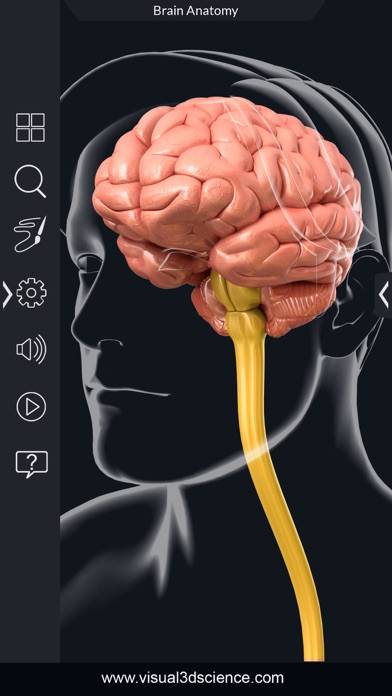 My Brain Anatomy Capture d'écran de l'application #1