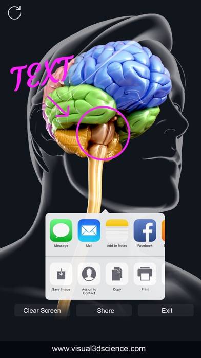 My Brain Anatomy App screenshot