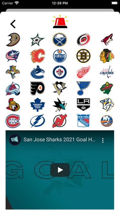 Ice Hockey Dad's Playlist App screenshot #4