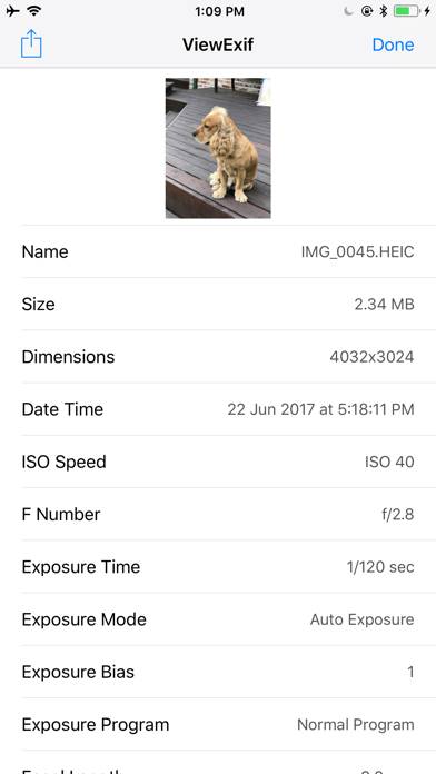 Heic Converter 2 JPG, PNG Captura de pantalla de la aplicación #5