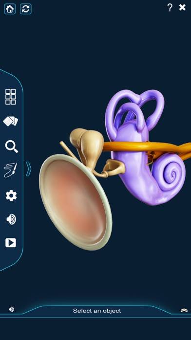 My Ear Anatomy App screenshot #2