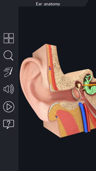 My Ear Anatomy App screenshot #4