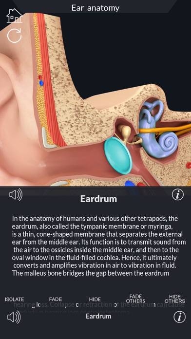 My Ear Anatomy App screenshot #6
