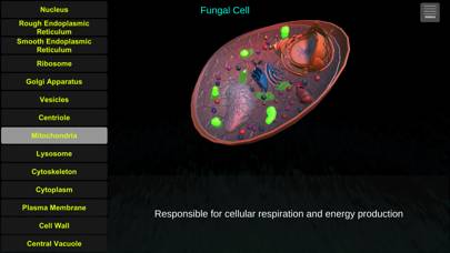 Cell Biology Tutor AR Captura de pantalla de la aplicación