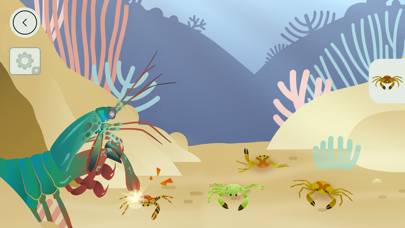 Coral Reef by Tinybop Captura de pantalla de la aplicación #3