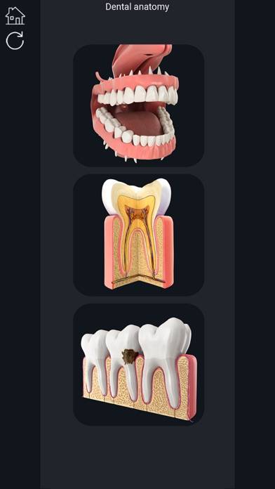 My Dental Anatomy Capture d'écran de l'application #1