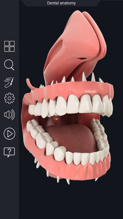 My Dental Anatomy Capture d'écran de l'application #3