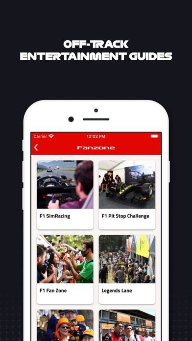 F1 Race Guide Captura de pantalla de la aplicación #6
