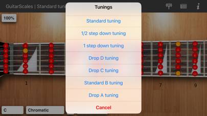 Guitar scales and modes Pro Schermata dell'app