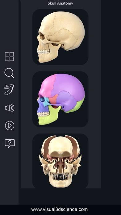 My Skull Anatomy App screenshot #1