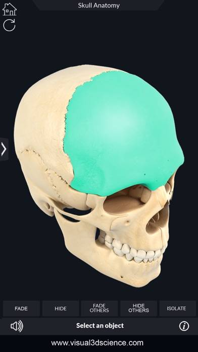 My Skull Anatomy App screenshot #2
