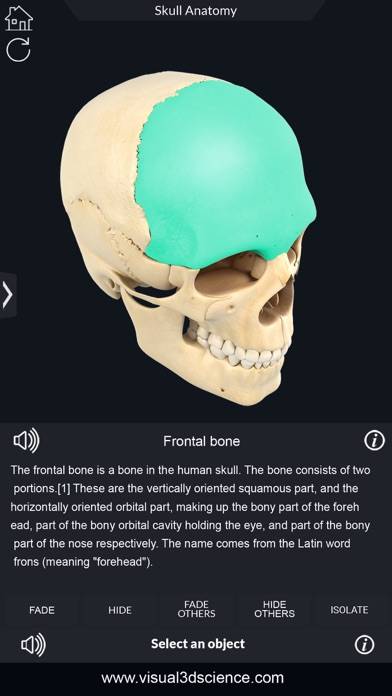 My Skull Anatomy Capture d'écran de l'application #3