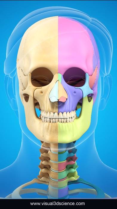 My Skull Anatomy App screenshot #4