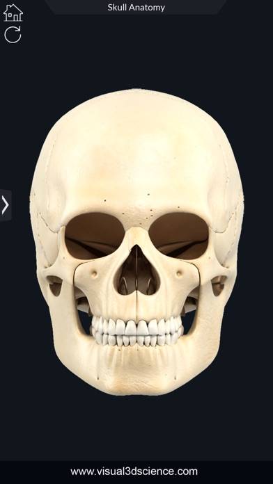 My Skull Anatomy Capture d'écran de l'application #5