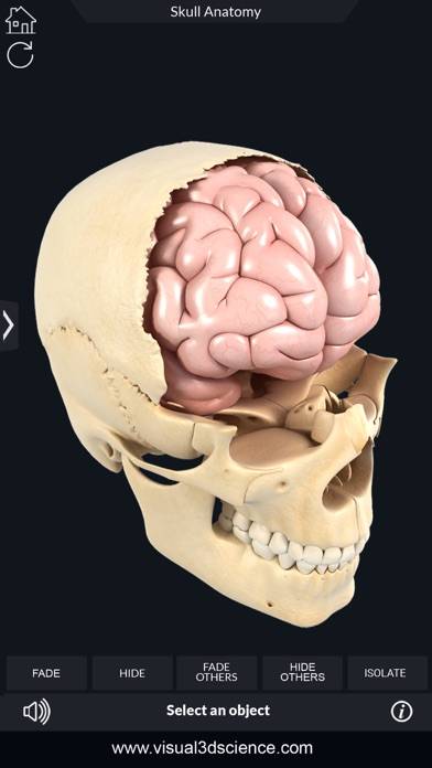 My Skull Anatomy App screenshot #6