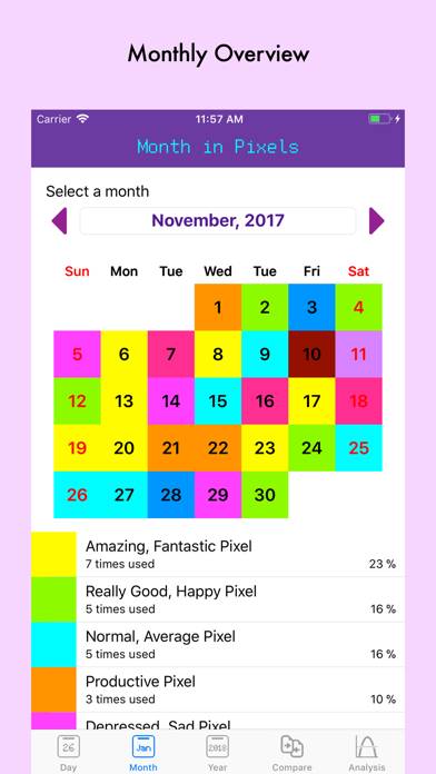 Your Year in Pixels App screenshot