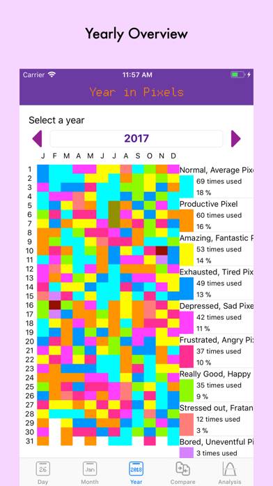 Your Year in Pixels App screenshot