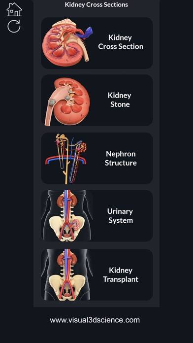 My Kidney Anatomy App screenshot #1