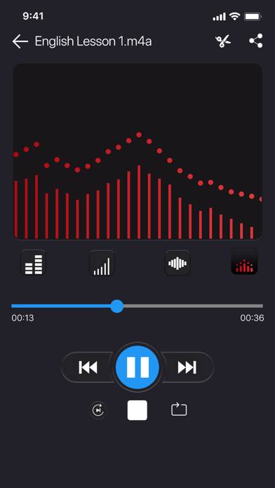 Voice recorder Schermata dell'app #1
