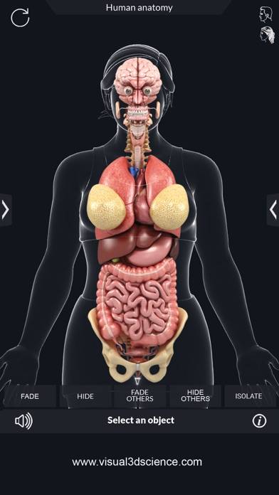 Organs Anatomy App screenshot #1