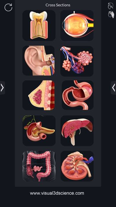 Organs Anatomy App screenshot #2
