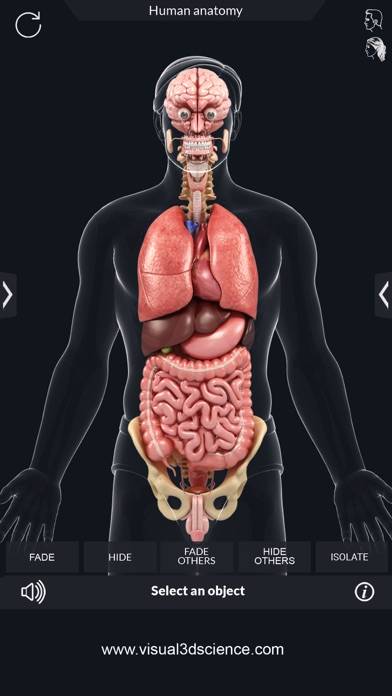 Organs Anatomy App screenshot #3
