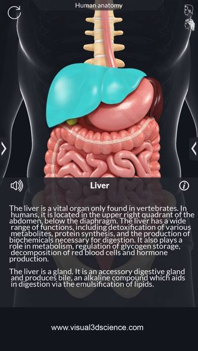 Organs Anatomy App screenshot #5