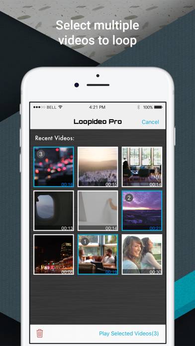 Loopideo Pro Captura de pantalla de la aplicación #3