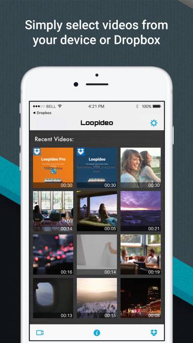 Loopideo Pro Captura de pantalla de la aplicación #4