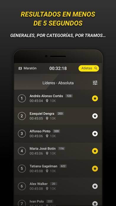 Zurich Maratón de Sevilla Capture d'écran de l'application #3