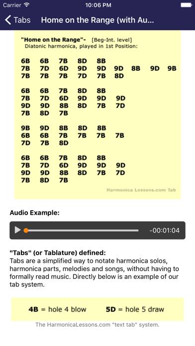 Harmonica Beginner Lessons Capture d'écran de l'application #4