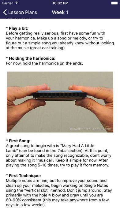 Harmonica Beginner Lessons App screenshot #5
