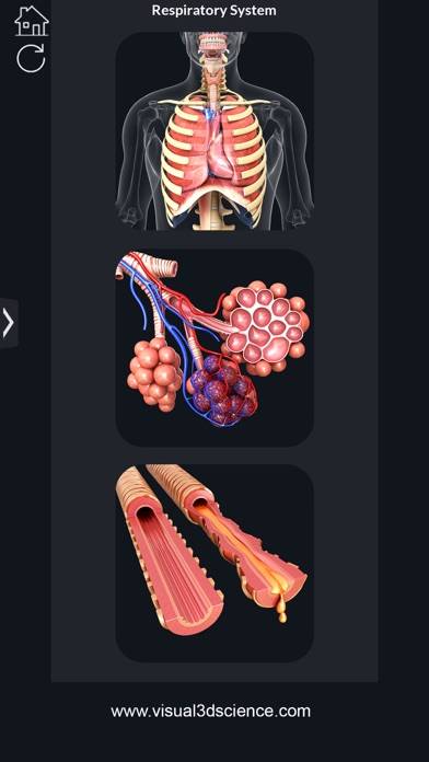 My Respiratory System Anatomy App screenshot #1