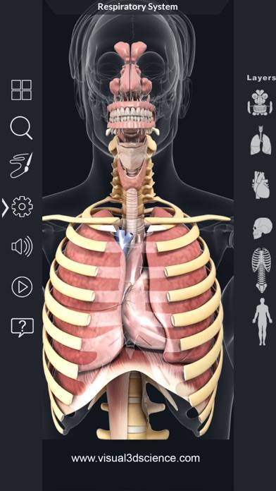 My Respiratory System Anatomy App screenshot #2