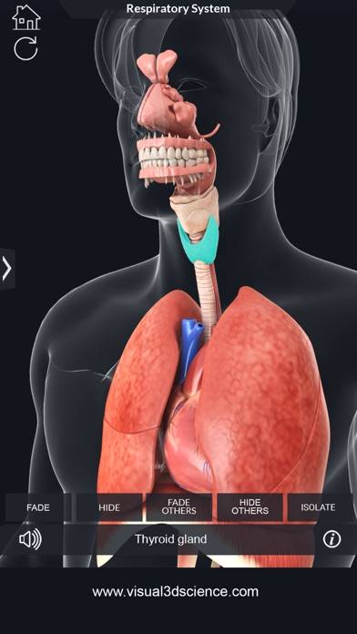 My Respiratory System Anatomy App screenshot #3