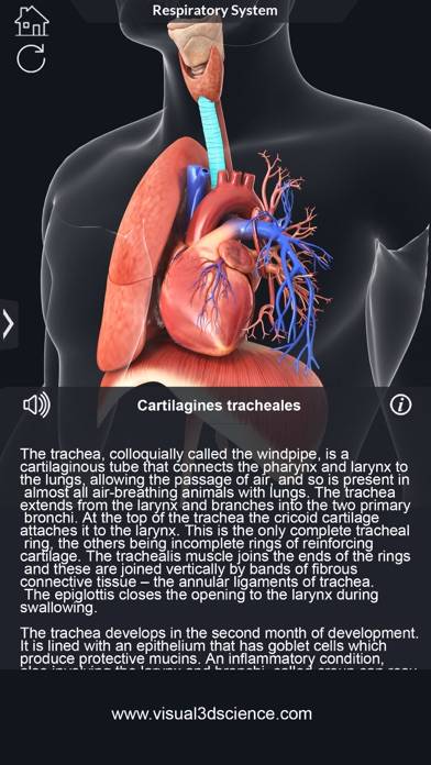 My Respiratory System Anatomy App screenshot #4