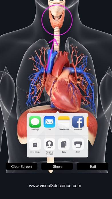 My Respiratory System Anatomy App screenshot #5