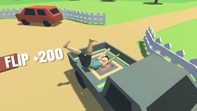 Flip Trickster game screenshot