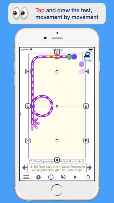 FEI Para Dressage App screenshot