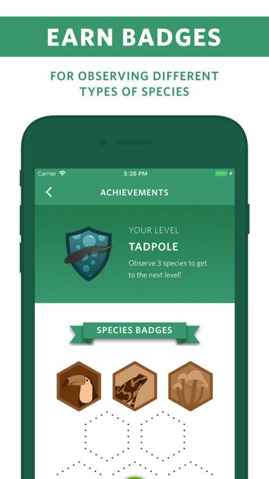 Seek by iNaturalist App screenshot #4