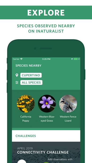 Seek by iNaturalist App screenshot #5