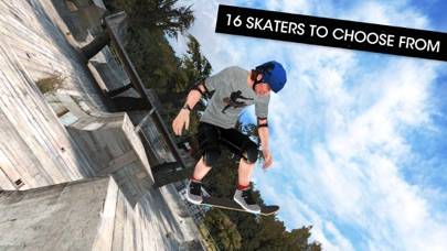 Skateboard Party: 3 game screenshot